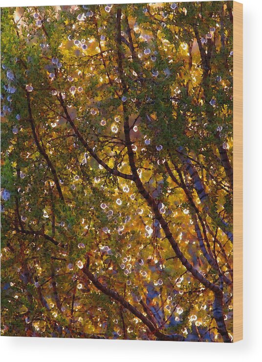 Larrea Wood Print featuring the photograph Larrea in Summer by Timothy Bulone