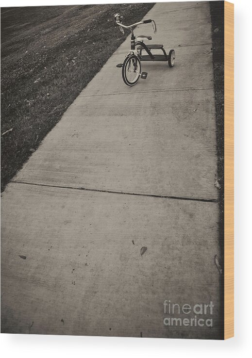 Tricycle Photographs Wood Print featuring the photograph Lifes Adventures Pedal to the Pavement by David Millenheft