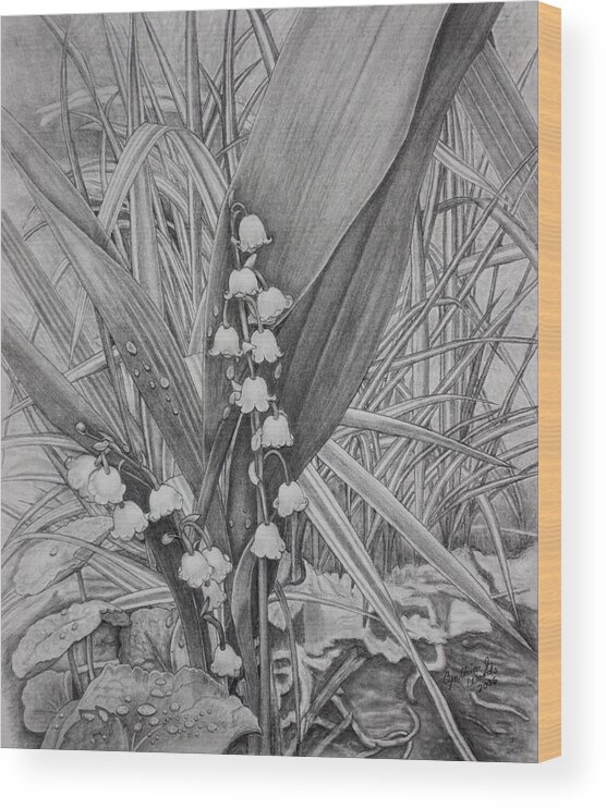 Lily-of-the-valley Pencil Drawing Wood Print featuring the photograph Lily of the Valley After the Rain by Cynthia Woods