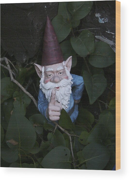 Garden Gnome Wood Print featuring the photograph Listen Up by Rhonda McDougall