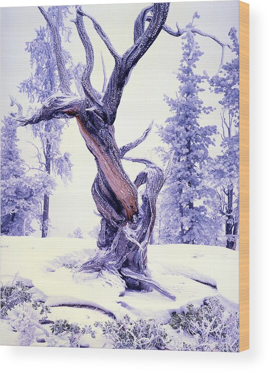National Park Wood Print featuring the photograph Lone Pine by Ray Mathis