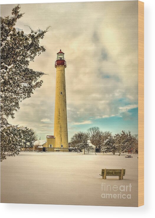 Cape Wood Print featuring the photograph Lonely Bench at Cape May Light by Nick Zelinsky Jr
