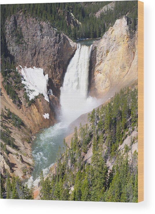 Lower Wood Print featuring the photograph Lower Yellowstone Falls by Aaron Spong