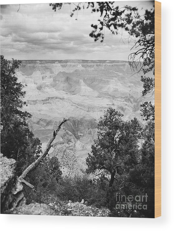 Grand Canyon Wood Print featuring the photograph Majestic Grand Canyon from the Rim in Black and White by M K Miller