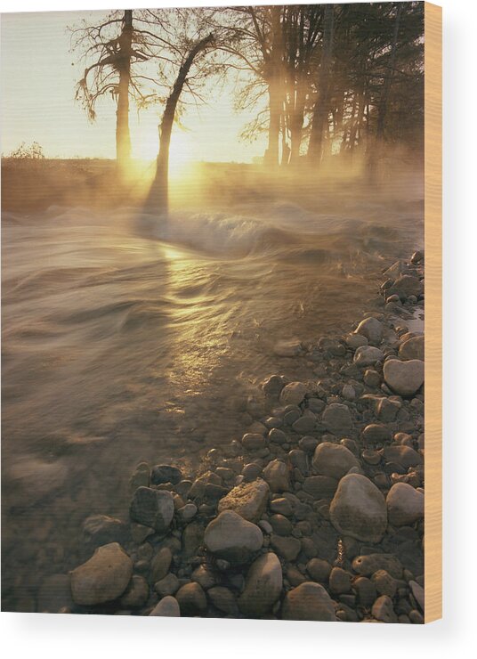 Medina River Wood Print featuring the photograph Medina River at Sunrise by Mark Langford