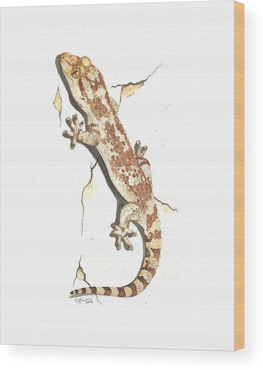 House Gecko Wood Print featuring the painting Mediterranean house gecko by Cindy Hitchcock