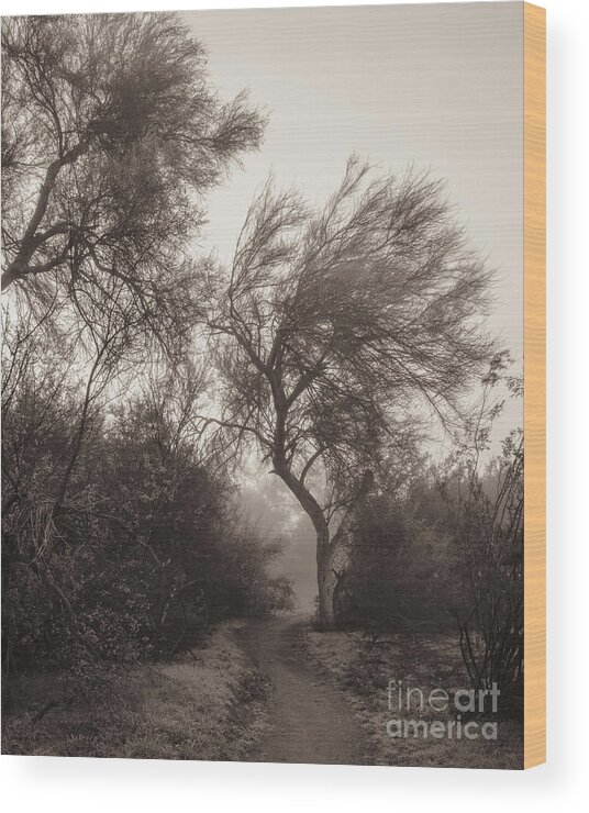 Fog Wood Print featuring the photograph Misty Morning by Tamara Becker