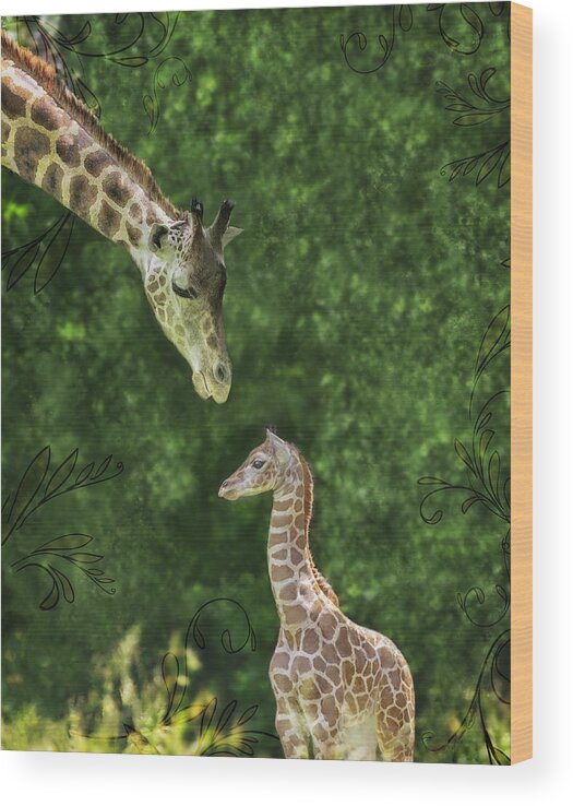 Giraffe Wood Print featuring the photograph Momma Loves Me by Marianne Campolongo
