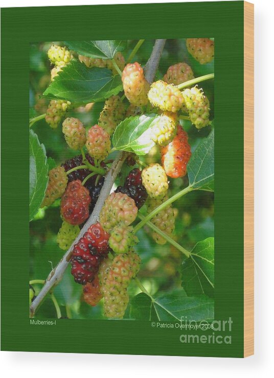 Mulberry Wood Print featuring the photograph Mulberries-I by Patricia Overmoyer