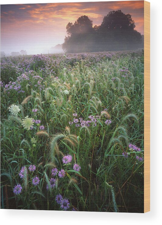 Sunset Wood Print featuring the photograph Native Prairie Sunrise by Ray Mathis