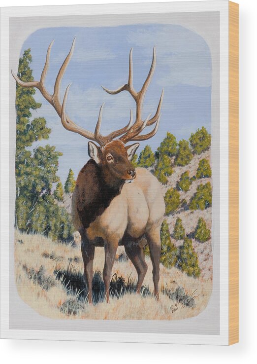 Nevada Wood Print featuring the painting Nevada Typical Elk by Darcy Tate