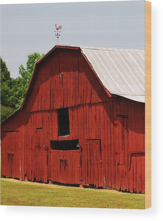 Barn Wood Print featuring the photograph New Paint by Linda Segerson