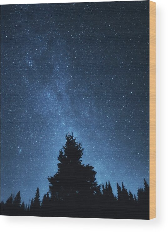 Long Wood Print featuring the photograph Night Sky by Misha Kaminsky