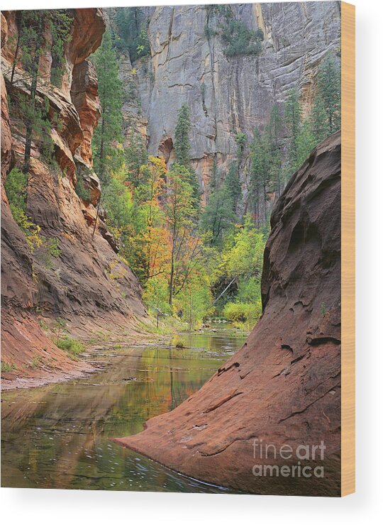 Sedona Wood Print featuring the photograph Oak Creek Canyon by Timm Chapman