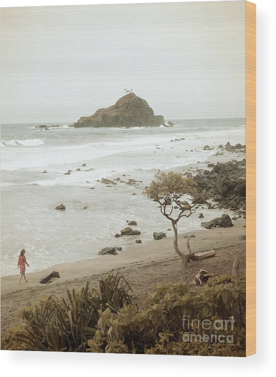 Photography Wood Print featuring the photograph Ocean Walk by Jackie Farnsworth