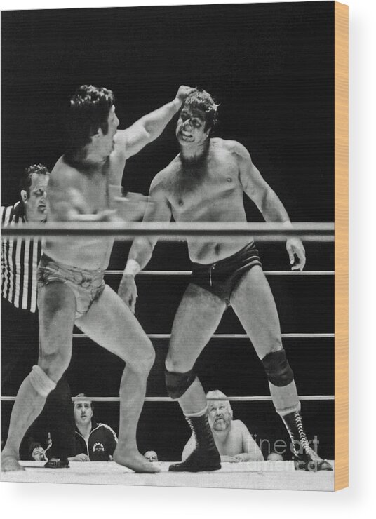 Old School Wrestling Wood Print featuring the photograph Old School Wrestlers Dean Ho and Don Muraco Battling it out in the Middle of the Ring by Jim Fitzpatrick