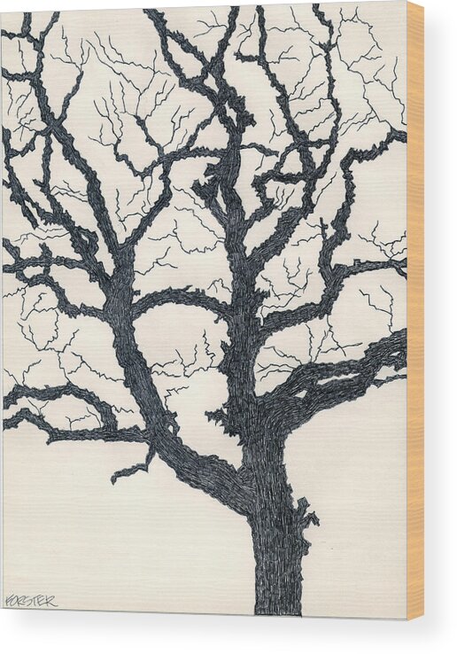 Tree Wood Print featuring the drawing One Dead Tree by Eric Forster
