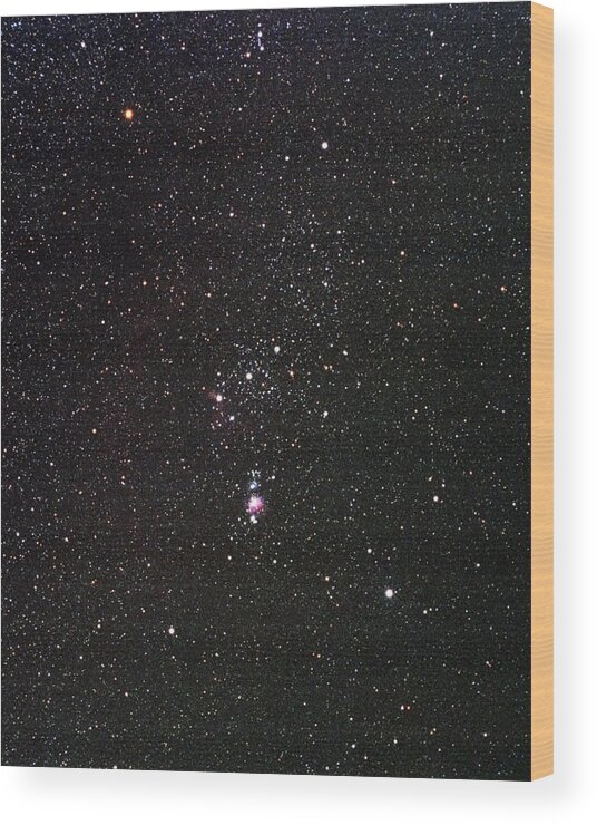 Sky Wood Print featuring the photograph Orion by Alan Ley