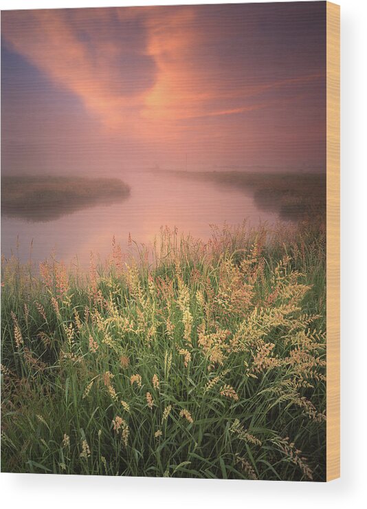 Sunset Wood Print featuring the photograph Pastel Portrait by Ray Mathis