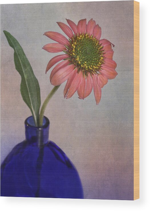 Bloom Wood Print featuring the photograph Pink Cone Flower by David and Carol Kelly