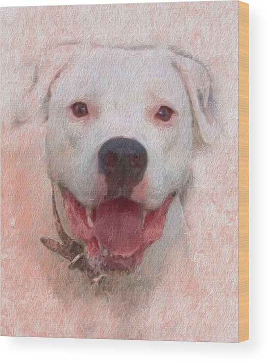 Pit Bull Wood Print featuring the photograph Pit Bull by Skip Hunt