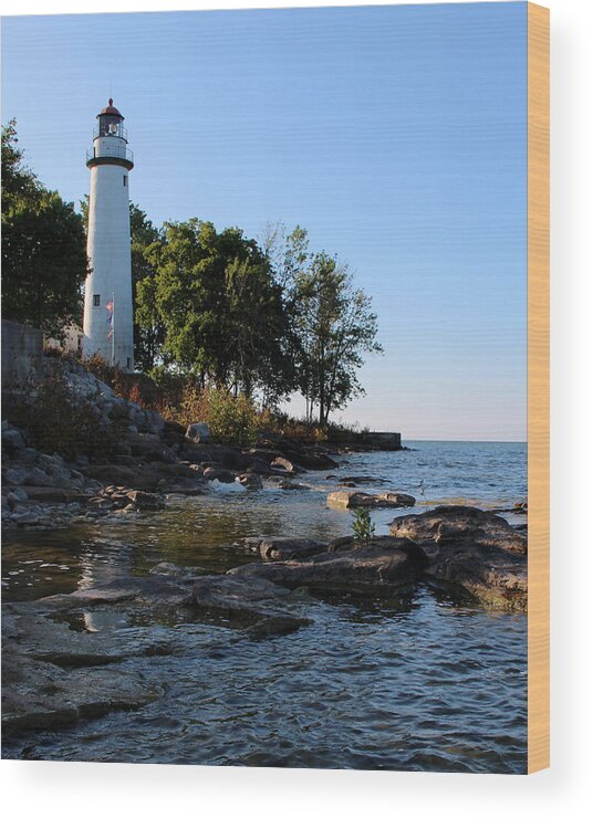 Light Wood Print featuring the photograph Pointe Aux Barques Lighthouse 1 by George Jones