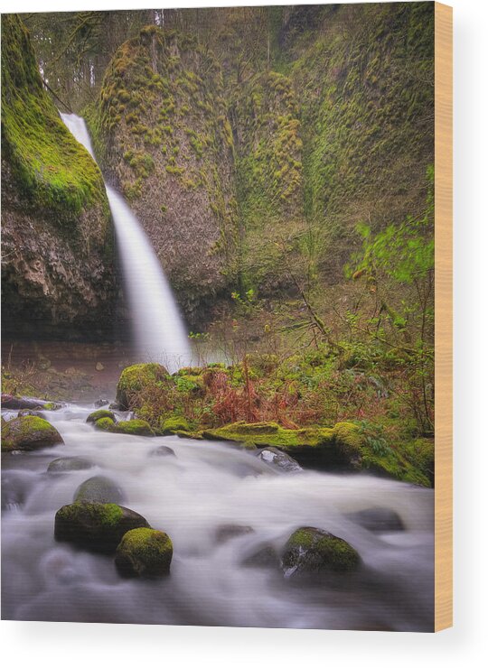 Crg Wood Print featuring the photograph Ponytail Falls by Brian Bonham