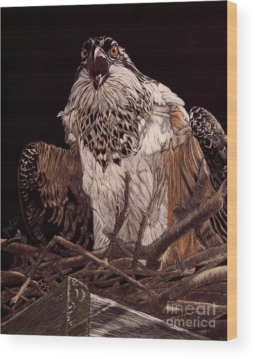Osprey Wood Print featuring the photograph Protecting the Nest by Margaret Sarah Pardy
