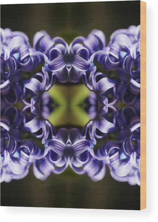 Purple Wood Print featuring the photograph Purple Hyazinth by Silvia Otte