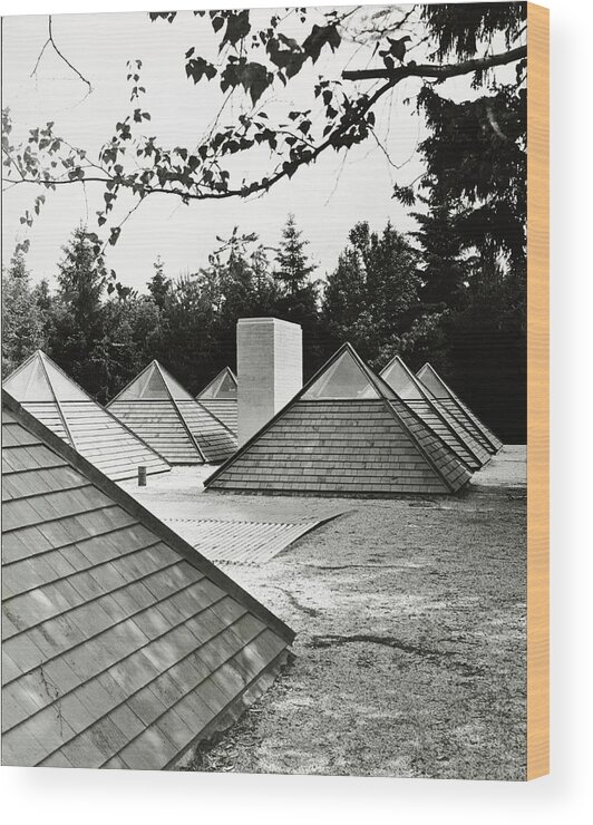 Outdoors Wood Print featuring the photograph Pyramid Skylights by Pedro E. Guerrero