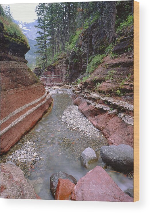 Red Rock Canyon Wood Print featuring the photograph 1M3006-Red Rock Canyon by Ed Cooper Photography