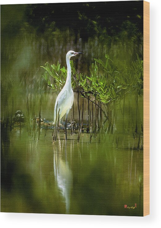 Nature Wood Print featuring the photograph Reddish Egret 9C by Gerry Gantt