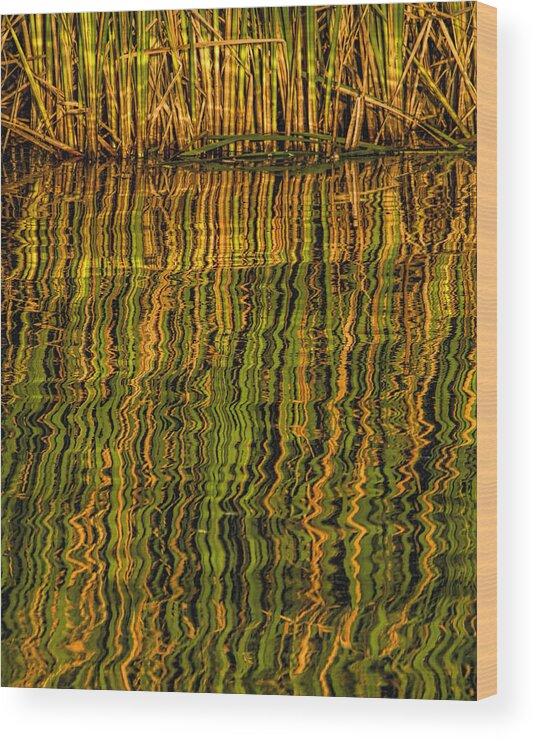 Kansas Wood Print featuring the photograph Reflections by Rob Graham