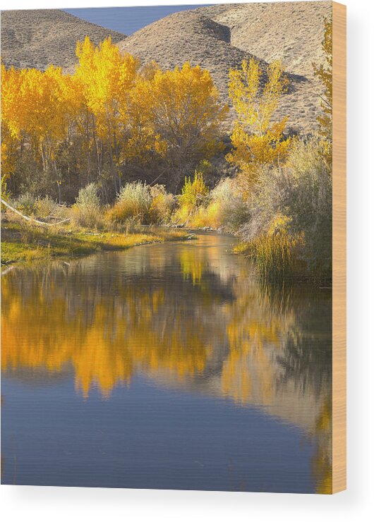Fall Foliage Wood Print featuring the photograph Restful Waters by Jim Snyder