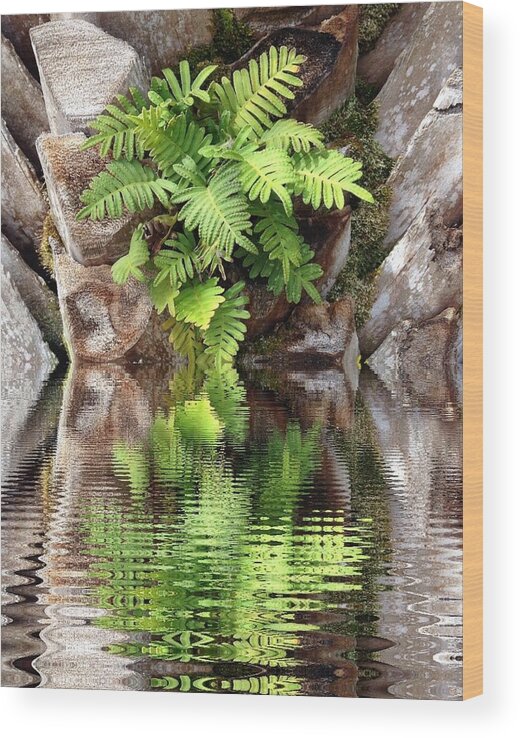 Ripples Wood Print featuring the photograph Ripples and Reflection by Marian Lonzetta