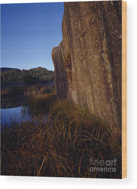 Pond Wood Print featuring the photograph Rock Face And Grass by J L Woody Wooden