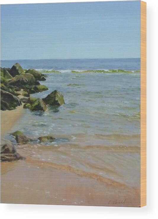 Painting Wood Print featuring the painting Rocks and shallows by Ellen Paull