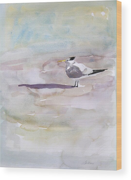Original Watercolors Wood Print featuring the painting Royal Tern by Julianne Felton