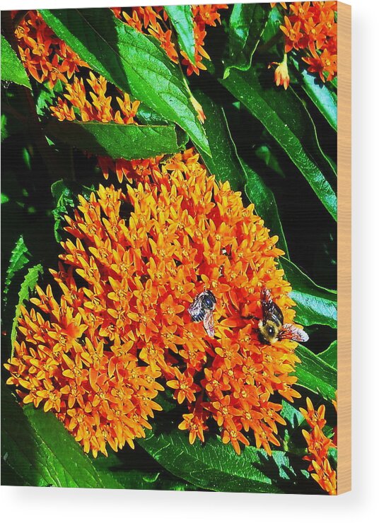 Butterfly Bush Wood Print featuring the photograph Save Our Bees by Yolanda Raker