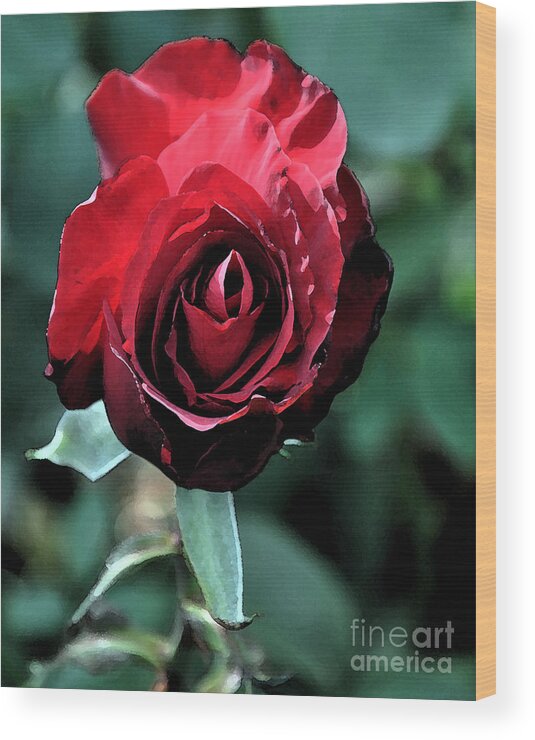 Rose Wood Print featuring the digital art Red Rose Bloom by Kirt Tisdale