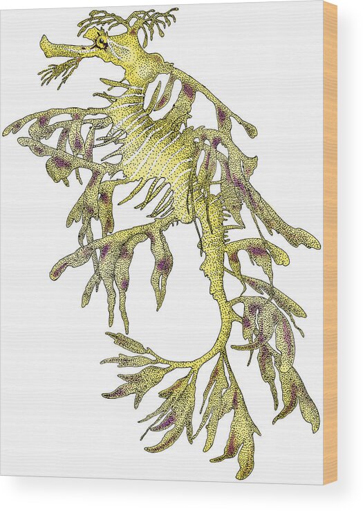 Illustration Wood Print featuring the photograph Sea Dragon by Roger Hall