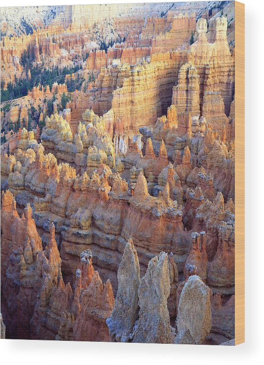 Bryce Canyon National Park Wood Print featuring the photograph Silent City Sunset by Ray Mathis