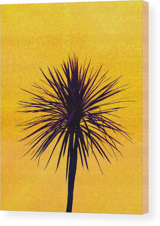 Palm Wood Print featuring the photograph Silhouette On Gold by Margaret Saheed