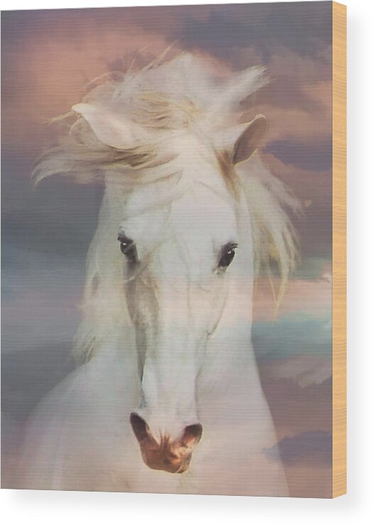  Horses Wood Print featuring the photograph Silver Boy by Melinda Hughes-Berland