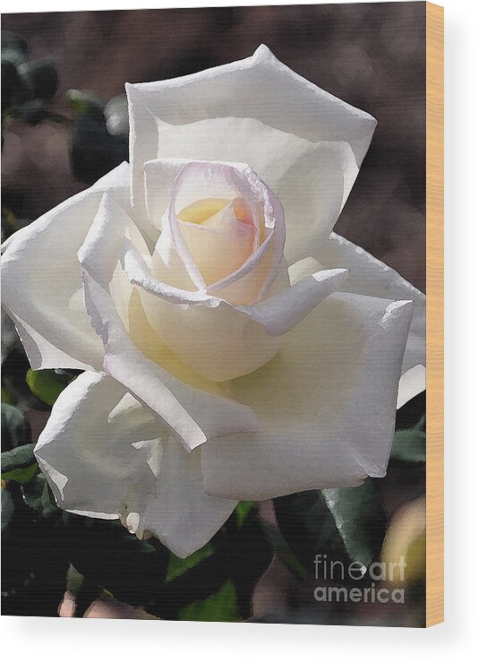 Rose Wood Print featuring the digital art White Rose Bloom by Kirt Tisdale