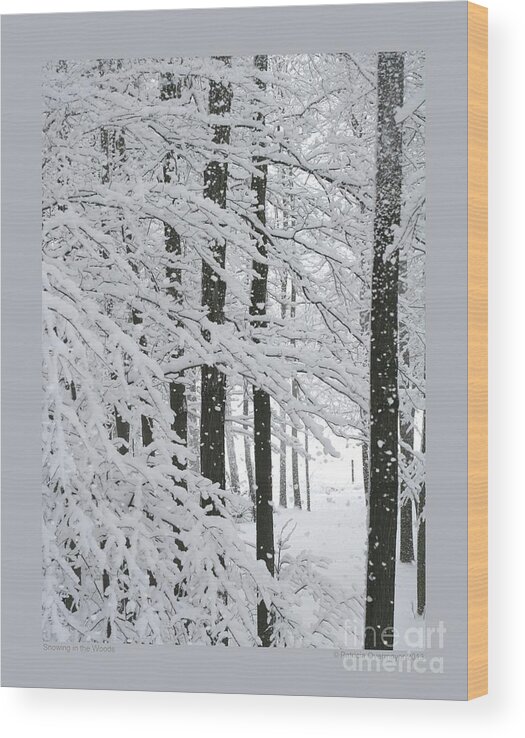 Landscape Wood Print featuring the photograph Snowing in the Woods by Patricia Overmoyer