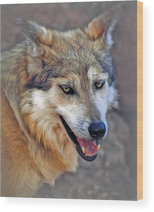 Wolf Wood Print featuring the photograph Soulful Eyes by Elaine Malott