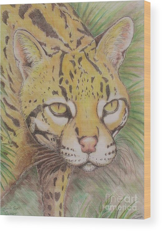 Ocelot Wood Print featuring the drawing South Texas Ocelot by Sue Bonnar