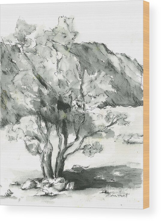Mountains Wood Print featuring the painting Graceful Smoketree by Maria Hunt