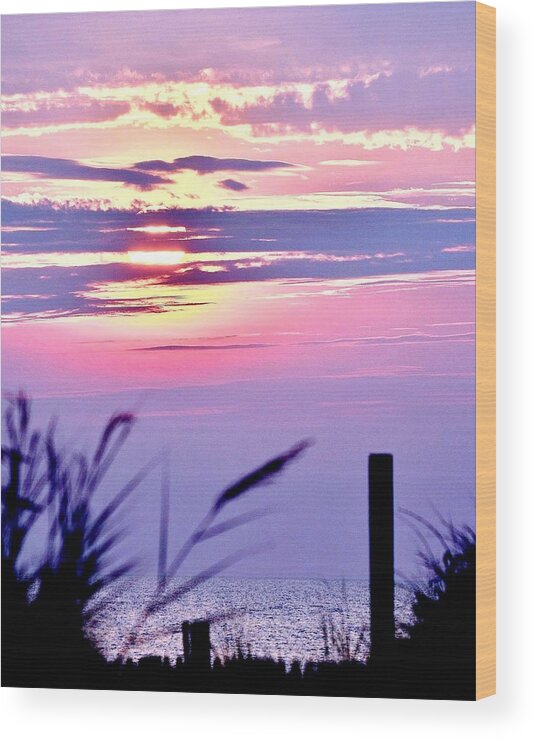 Sunrise Wood Print featuring the photograph Sunrise Through the Dunes by Kim Bemis